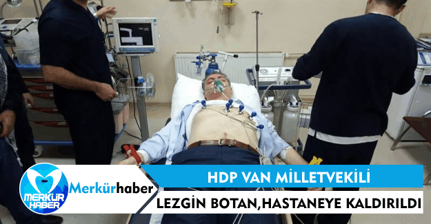 HDP Van Milletvekili Lezgin Botan Hastaneye Kaldırıldı