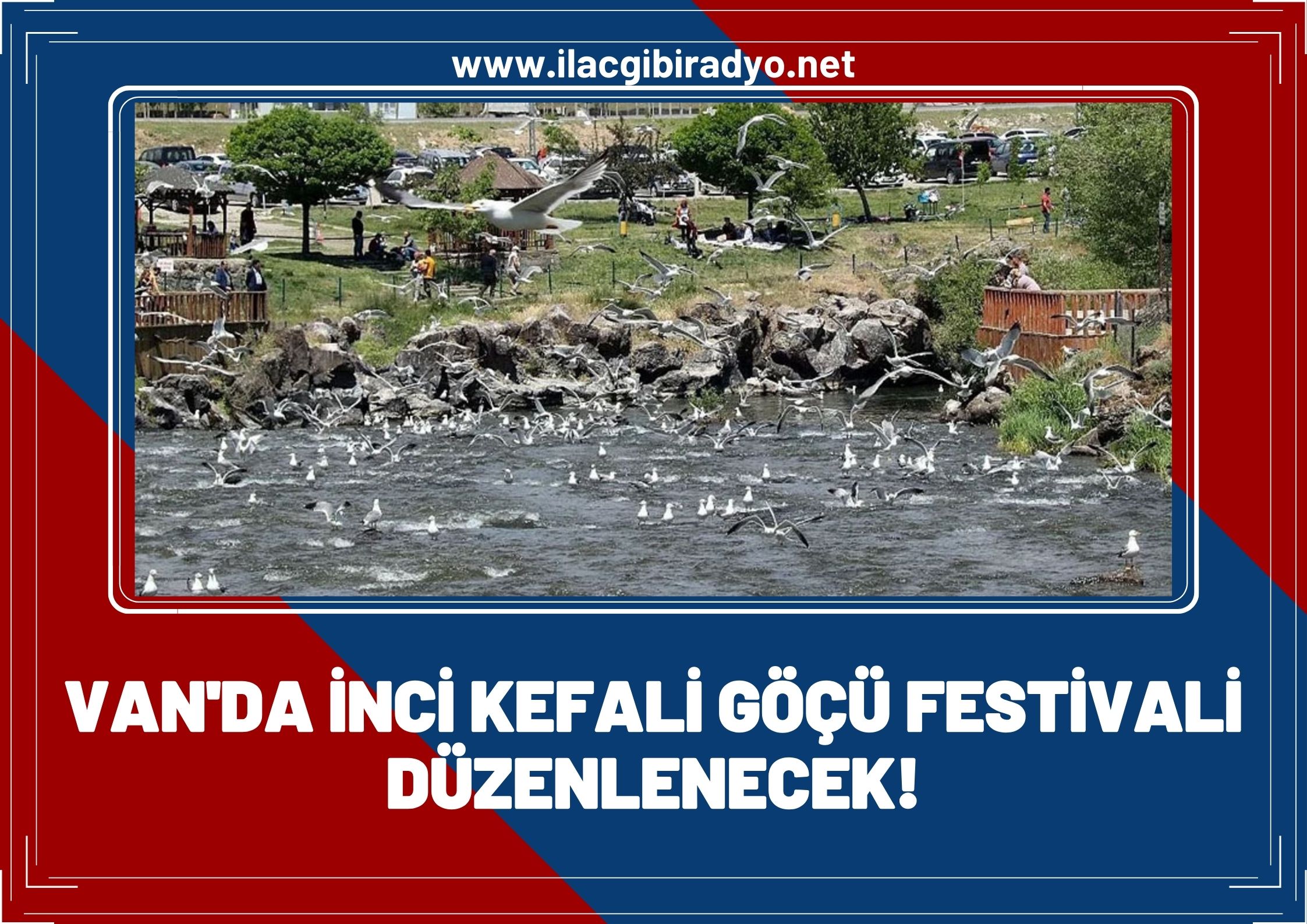 Van’da İnci Kefali Göçü Festivali düzenlenecek! Katılacak sanatçılar belli oldu