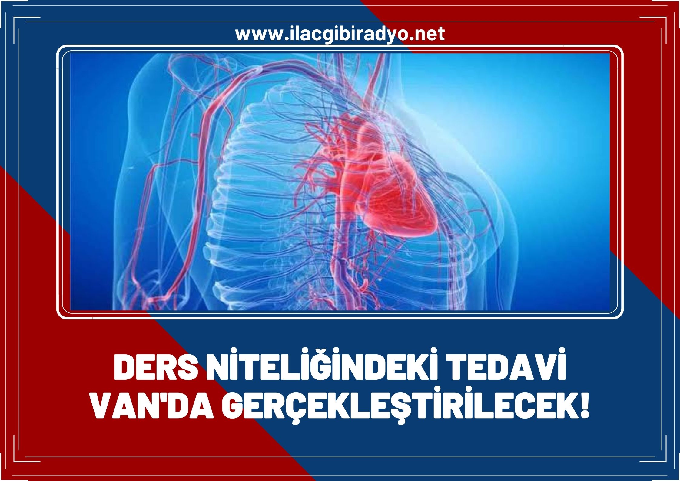 Ders niteliğindeki tedavi, Van'da gerçekleştirilecek