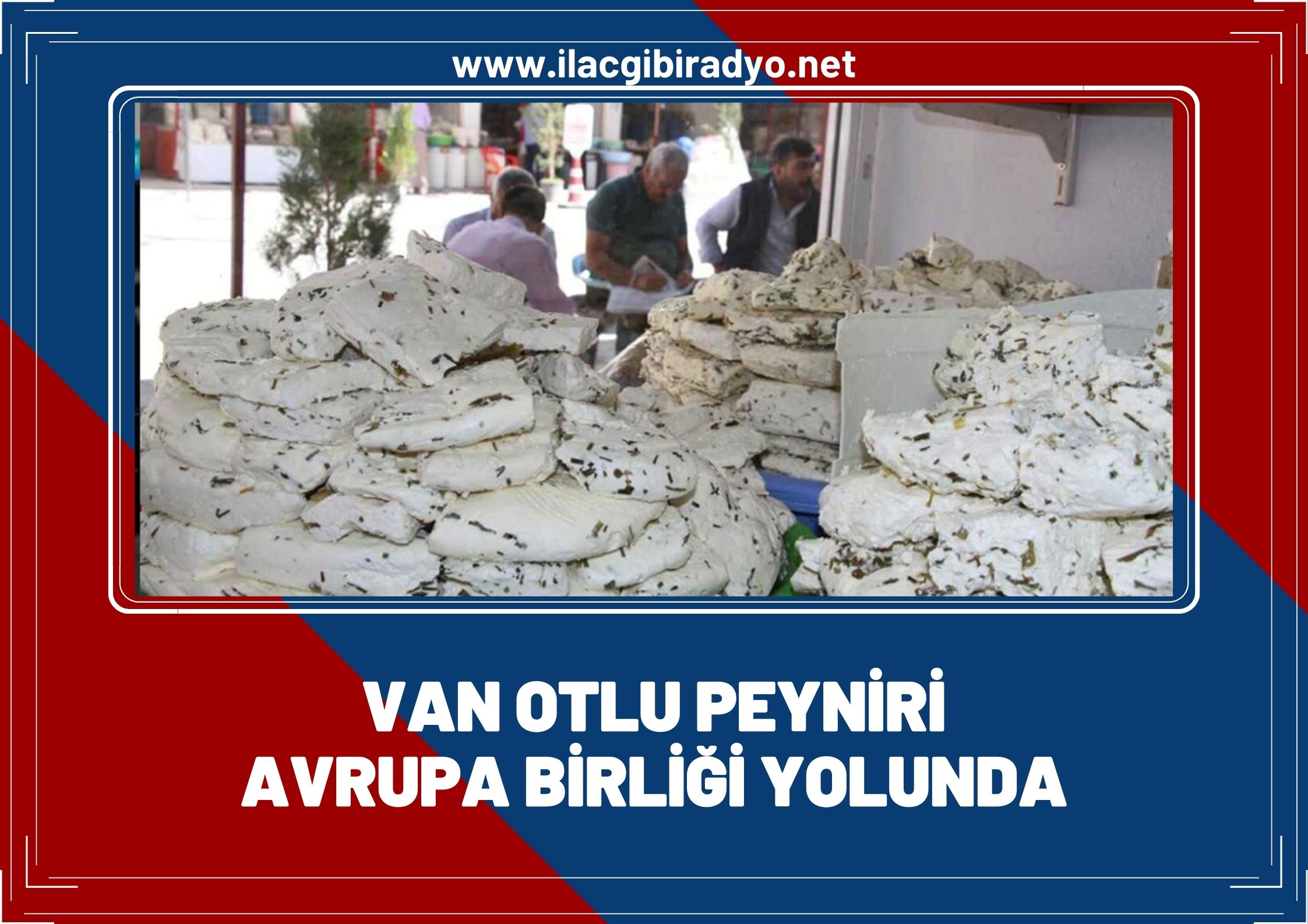 Van Otlu Peyniri Avrupa Birliği yolunda!