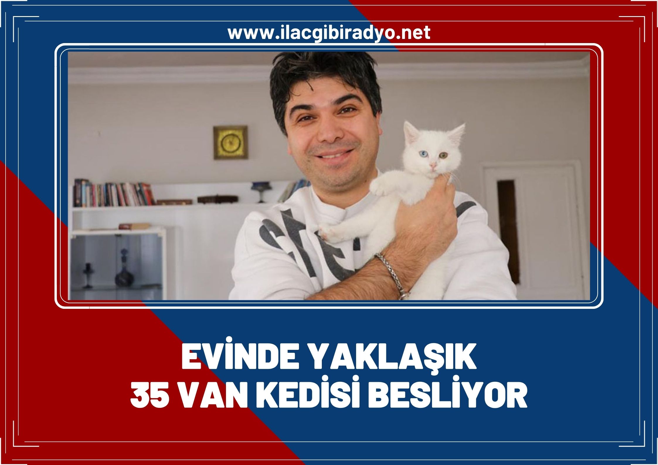 Van'da evinde yaklaşık 35 Van kedisi besliyor