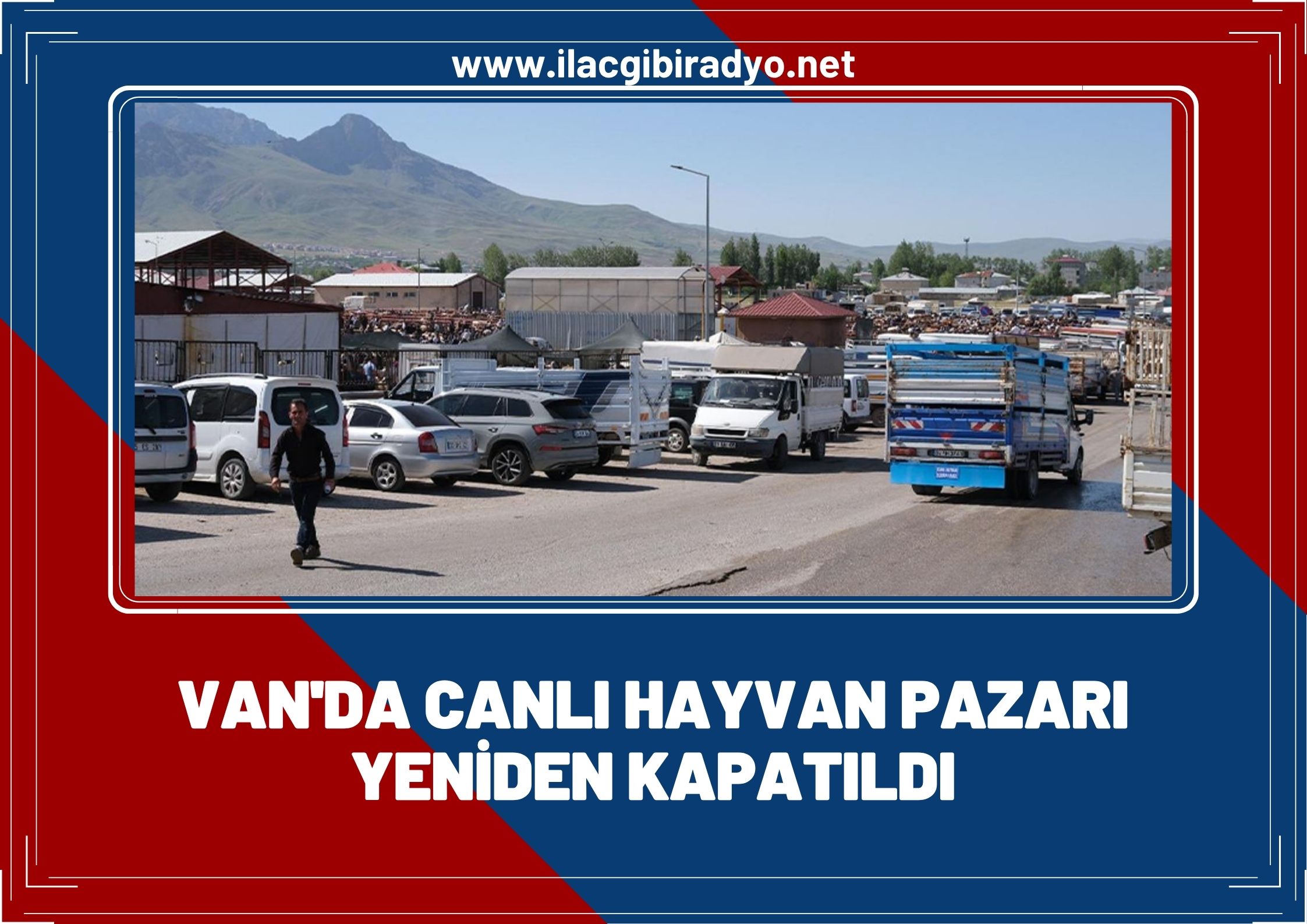 Van’da canlı hayvan pazarı yeniden kapatıldı! İşte kapatılma sebebi…