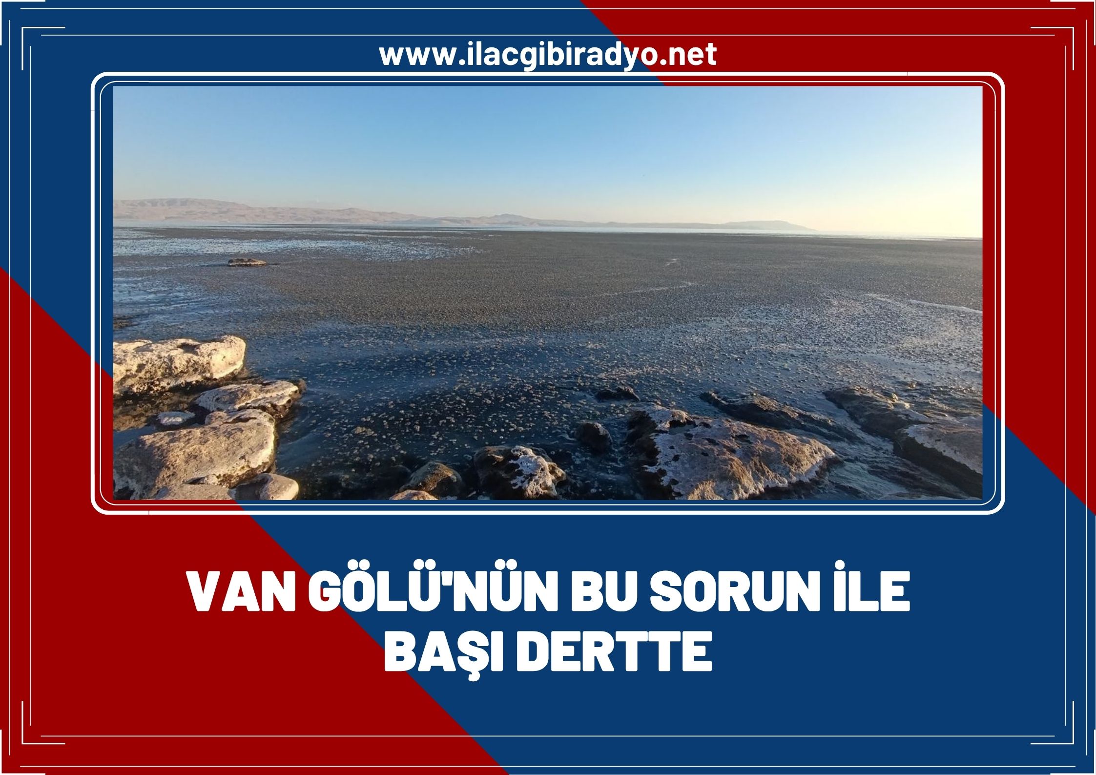 Van Gölü’nün bu sorun ile başı dertte!
