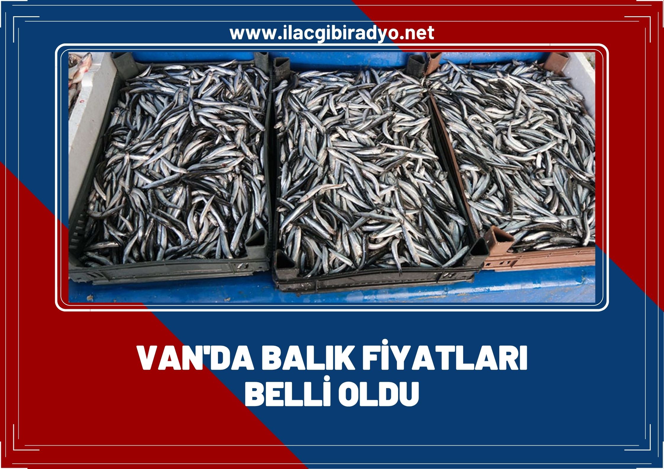Van’da balık fiyatları belli oldu: Hamsinin fiyatı düştü!