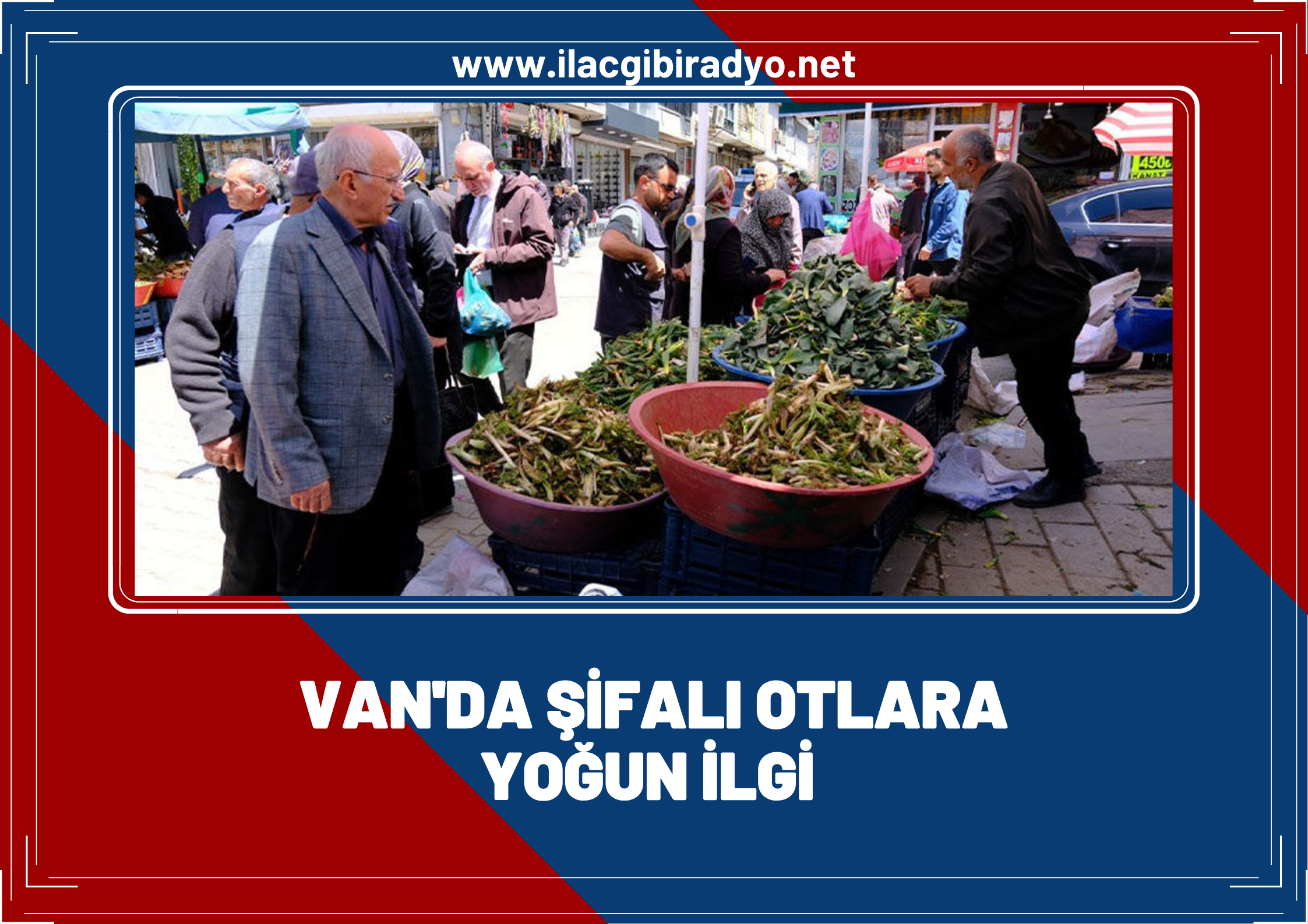 Van’da şifalı otlara büyük ilgi