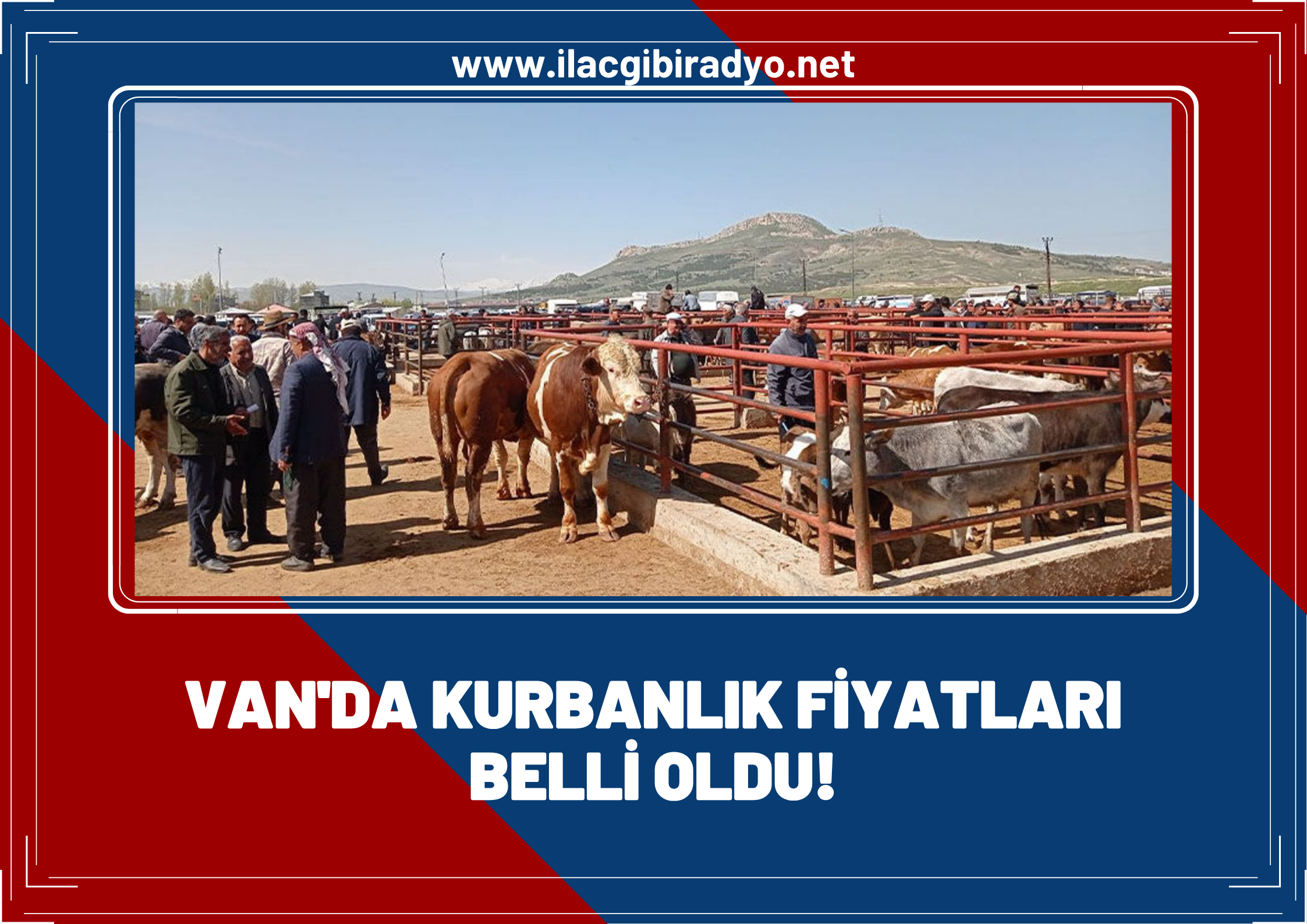 Van’da kurbanlık fiyatları belli oldu