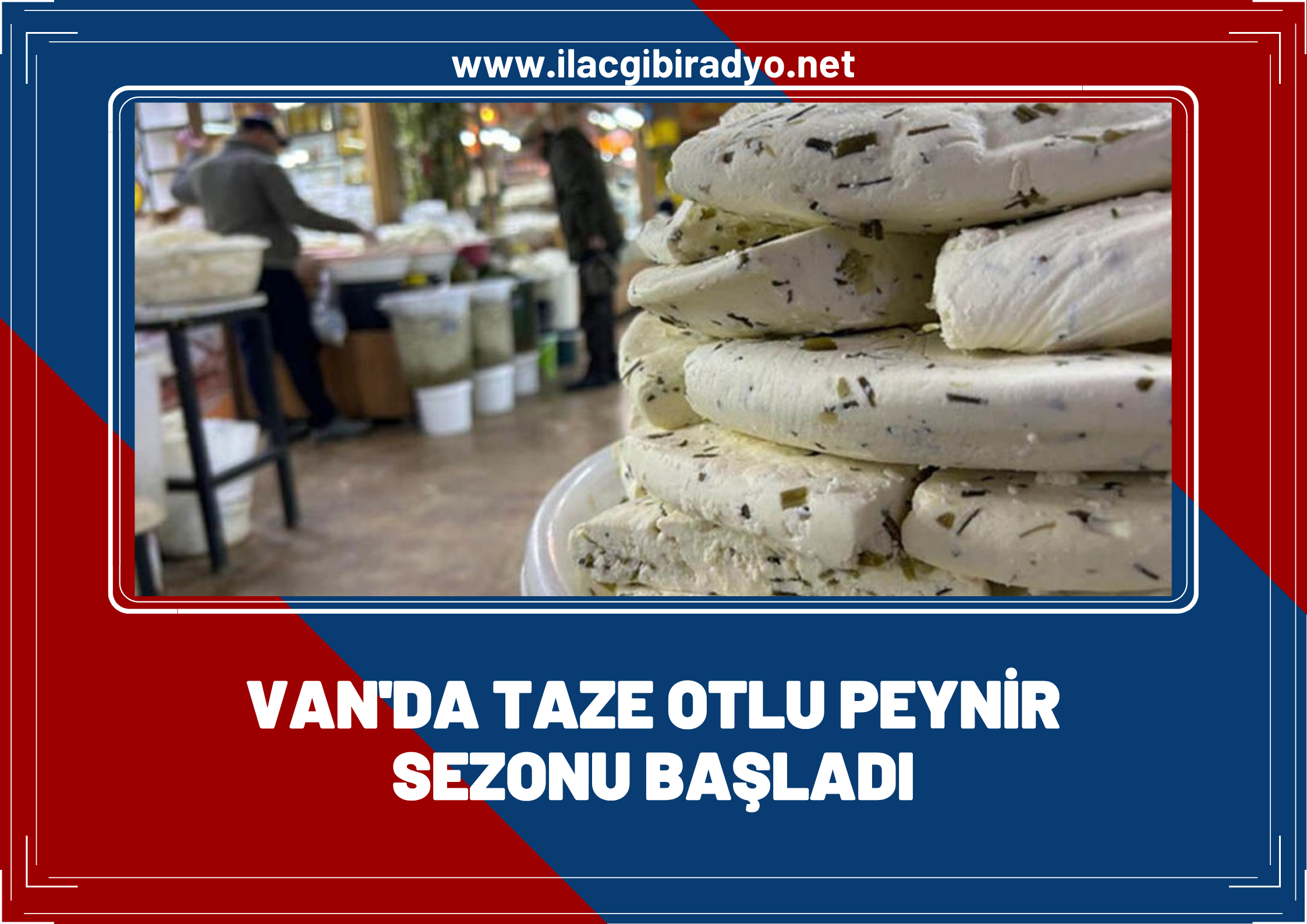 Van'da taze peynir sezonu başladı: Sezon fiyatı belli oldu!