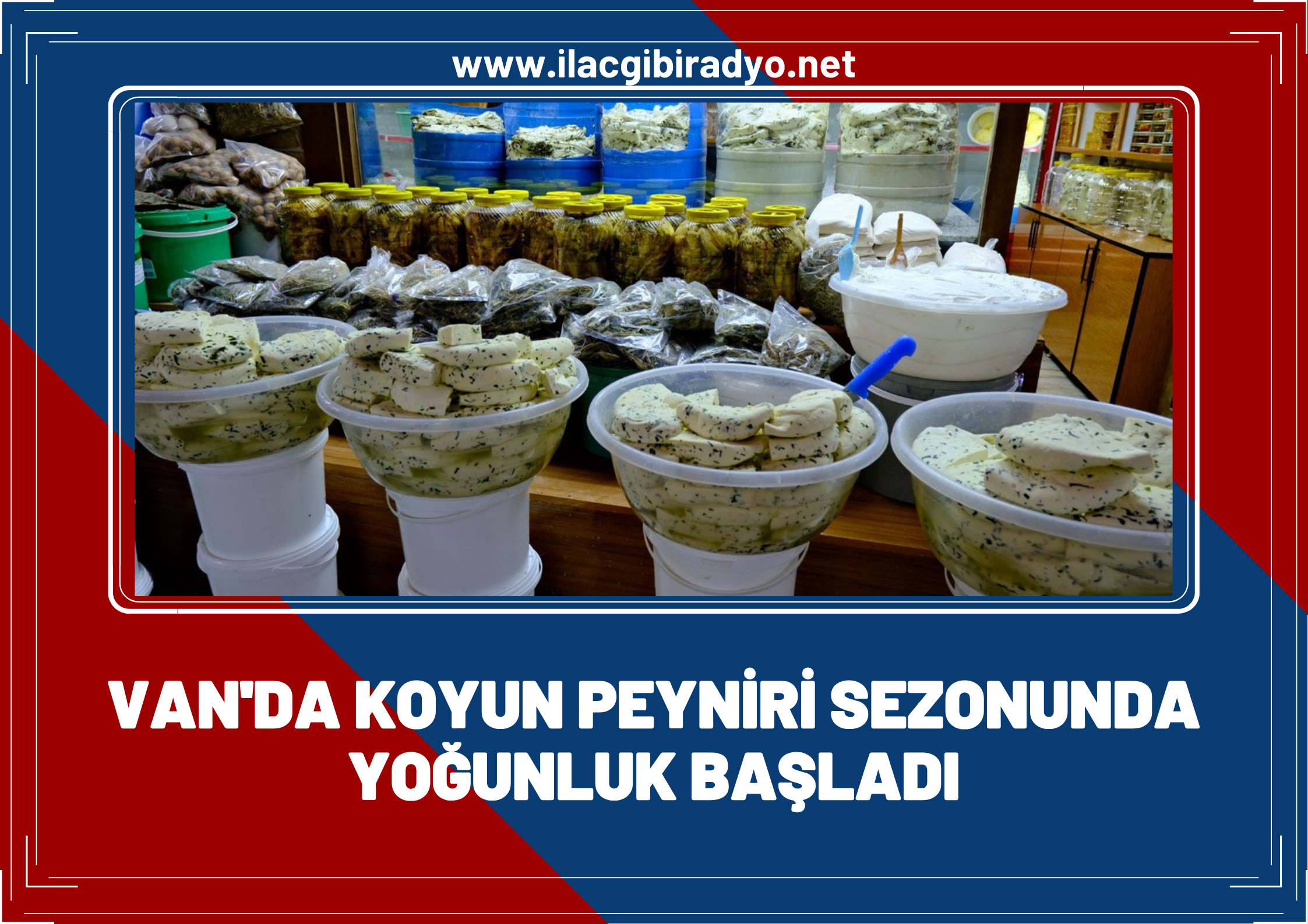 Van’da koyun peyniri sezonunda yoğunluk başladı