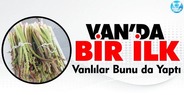 Van’da Bir İlk