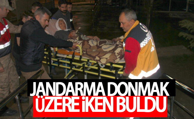 Jandarma 80 Yaşındaki Alzaymır Hastasını Donmak Üzere İken Buldu