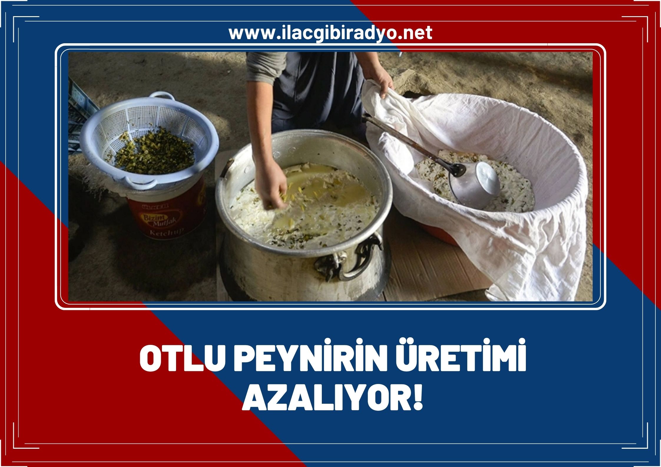 Otlu peynirin üretimi azalıyor