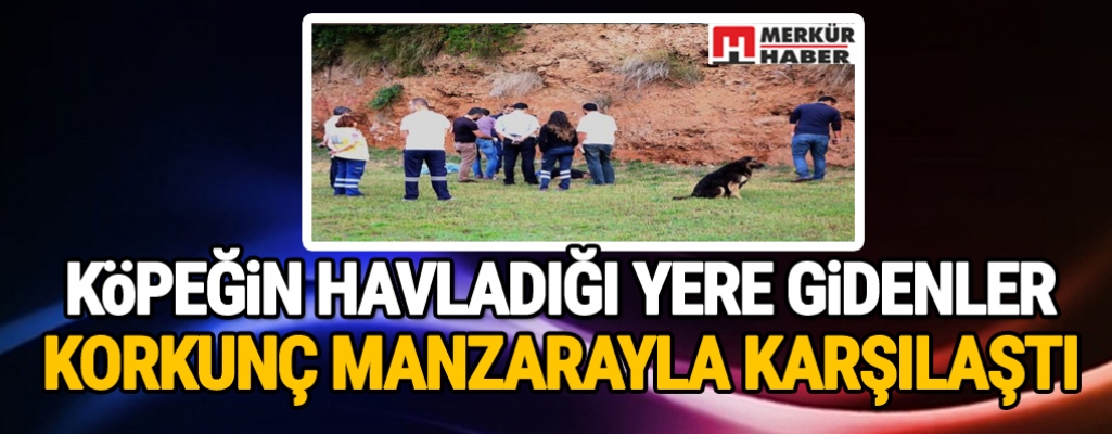 Köpeğin havladığı yere gidenler cesetle karşılaştı