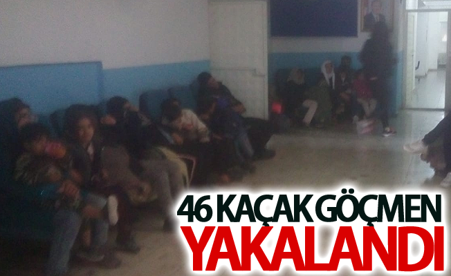 Özalp’ta 46 kaçak göçmen yakalandı