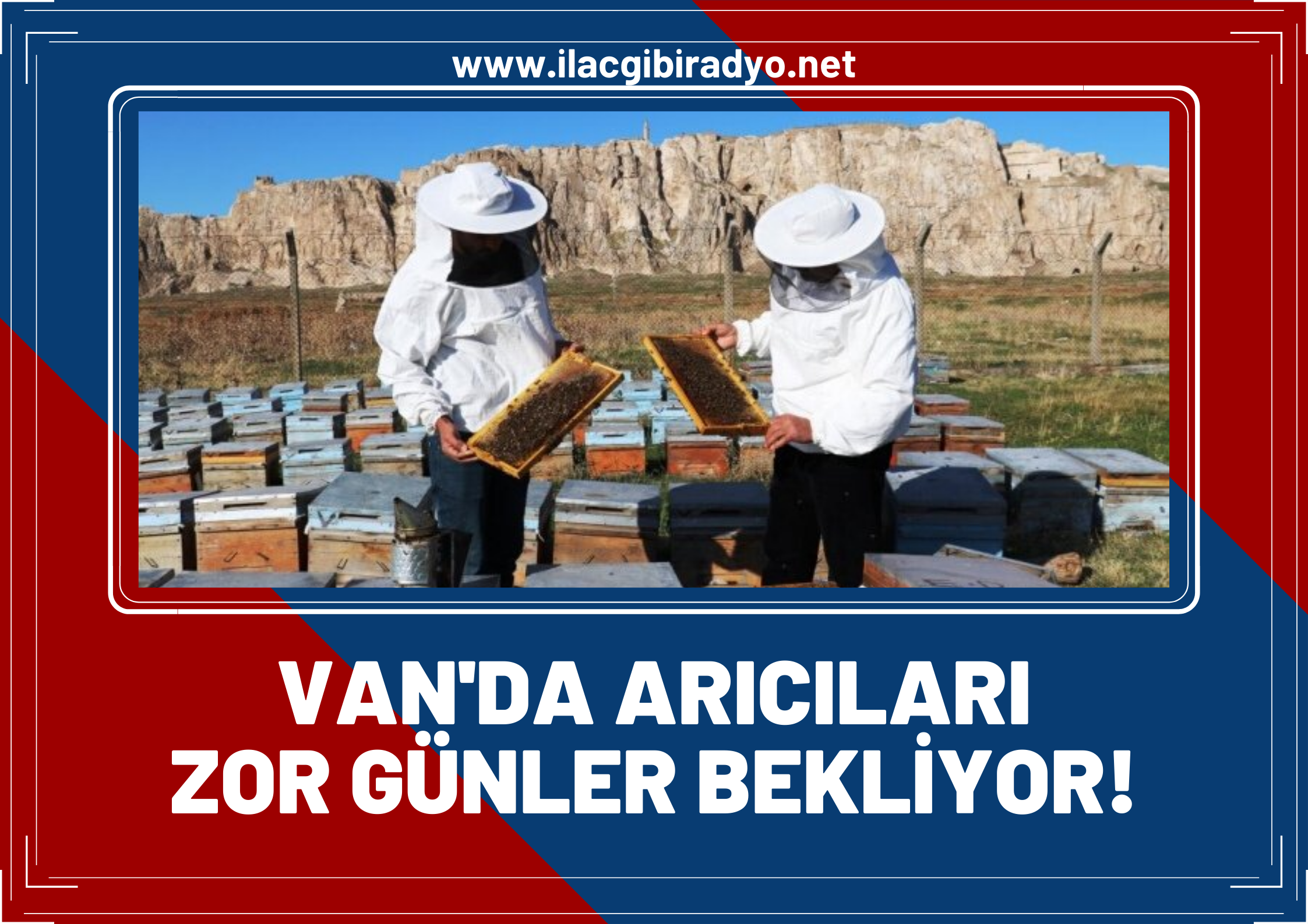 Van’da yaşanan kuraklık nedeniyle Arı’cıları zor günler bekliyor!