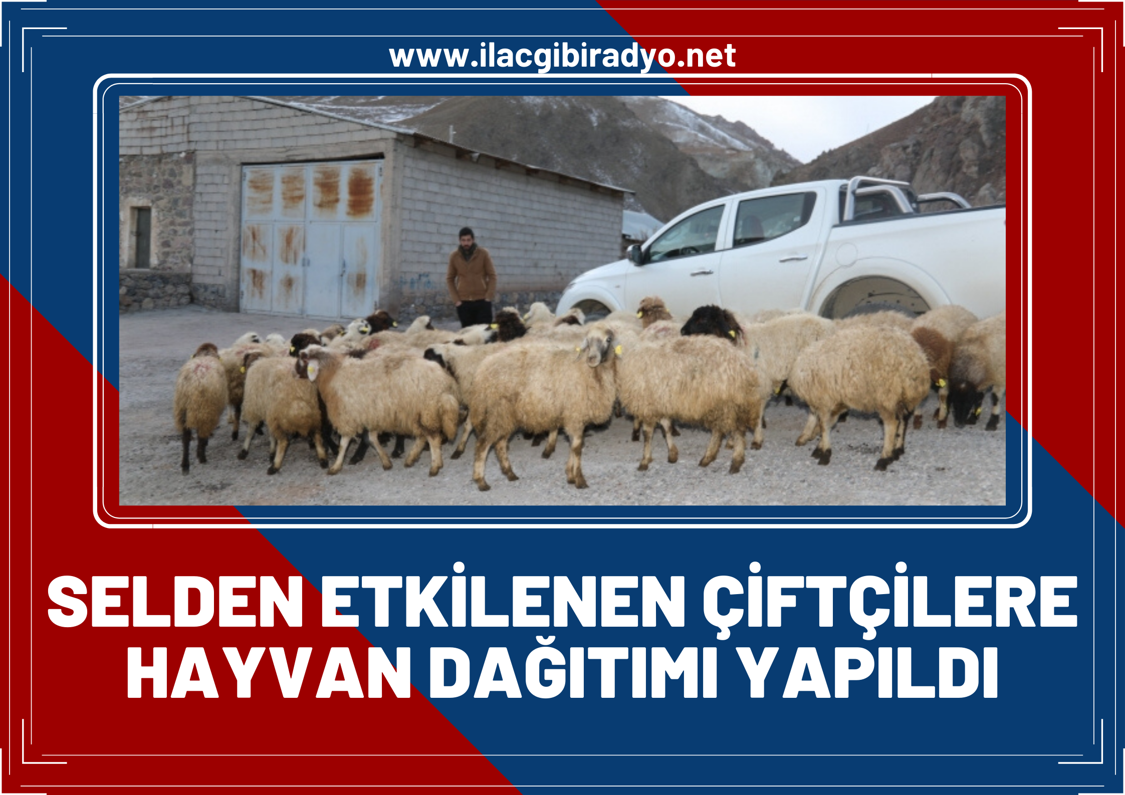 Selden etkilenen çiftçilere hayvan dağıtımı yapıldı