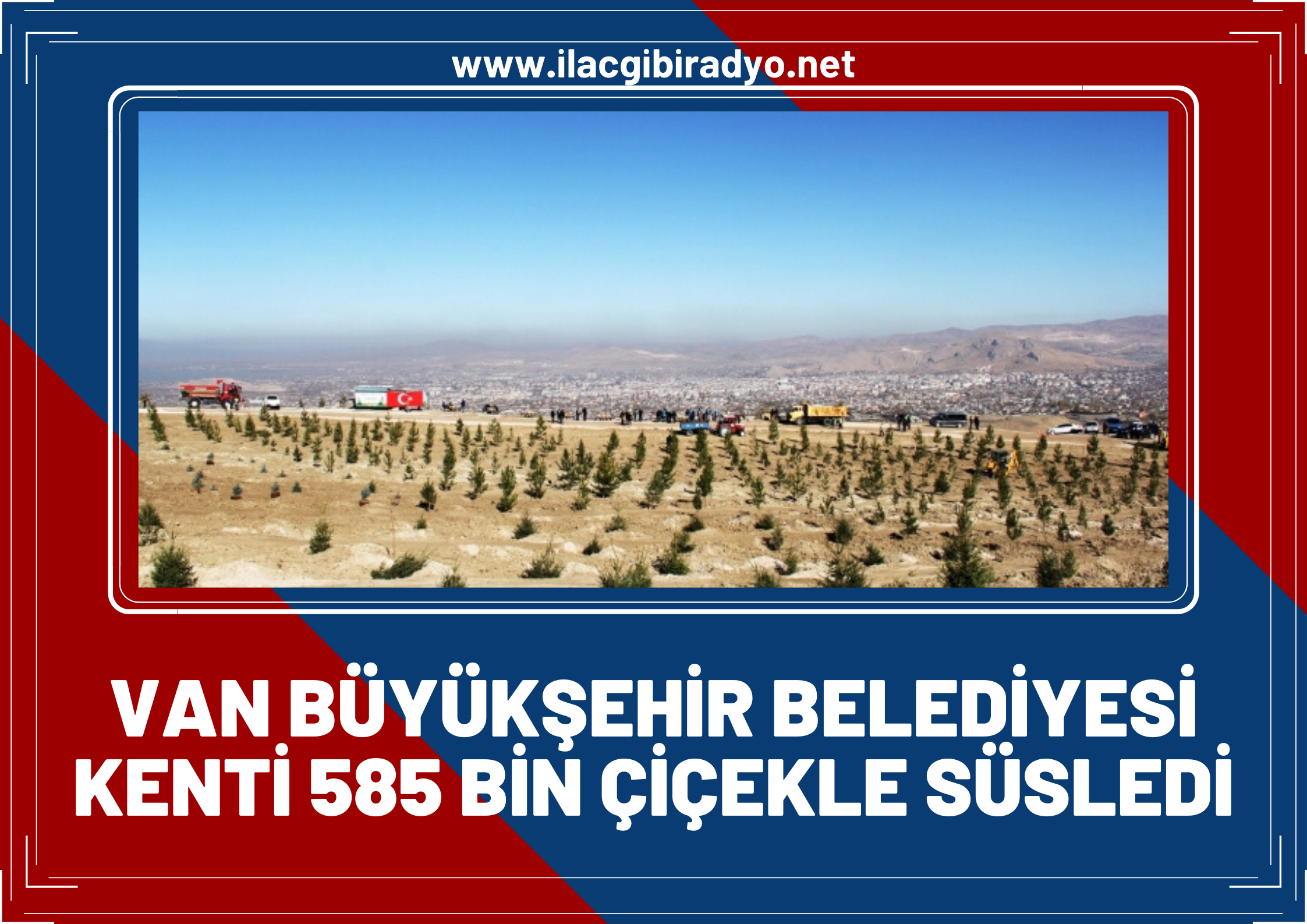 Van Büyükşehir Belediyesi, seralarda yetiştirdiği 585 bin çiçek ile kenti süsledi!