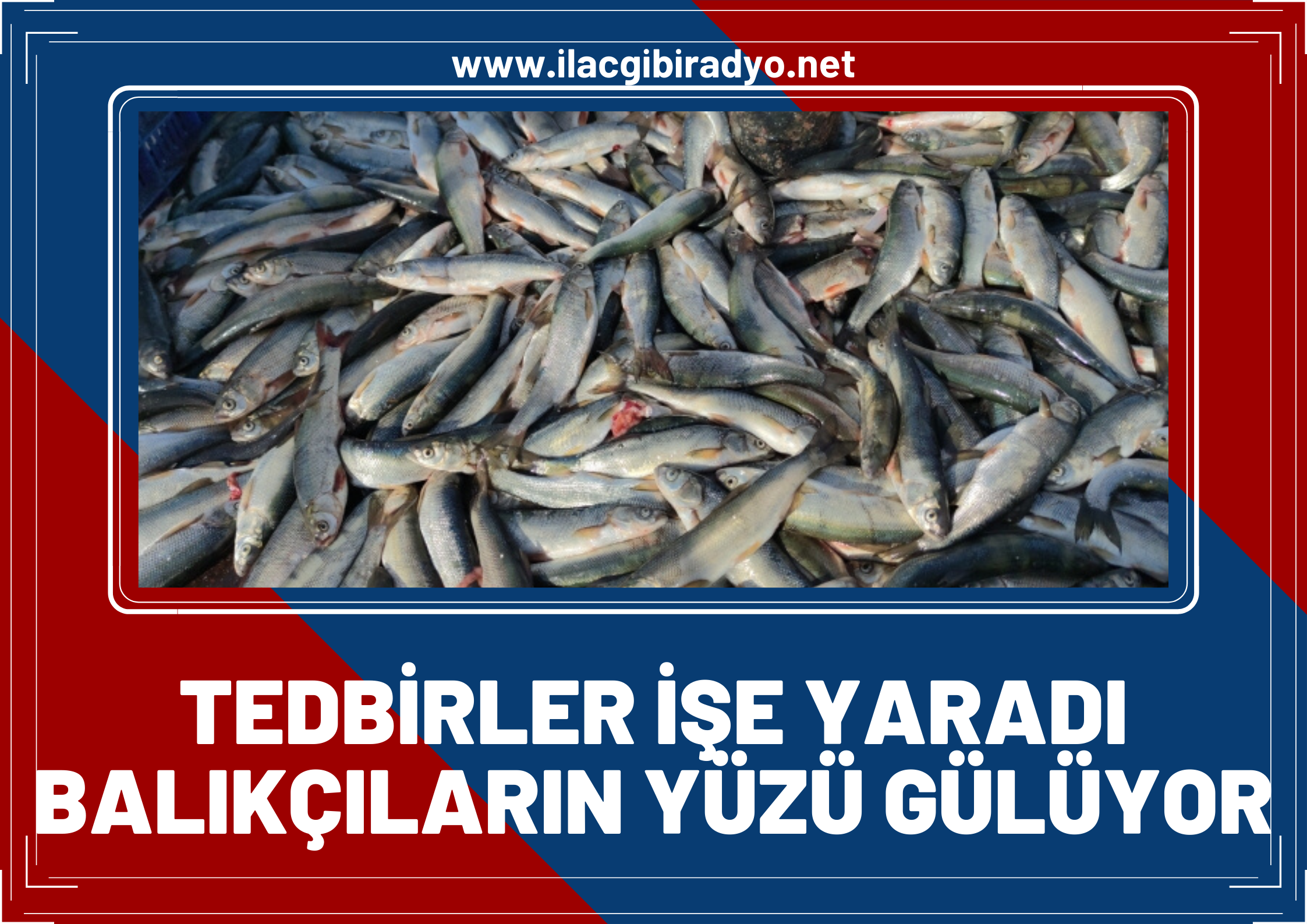 Van Gölü’nde tedbirler işe yaradı! Balıkçıların yüzü gülüyor