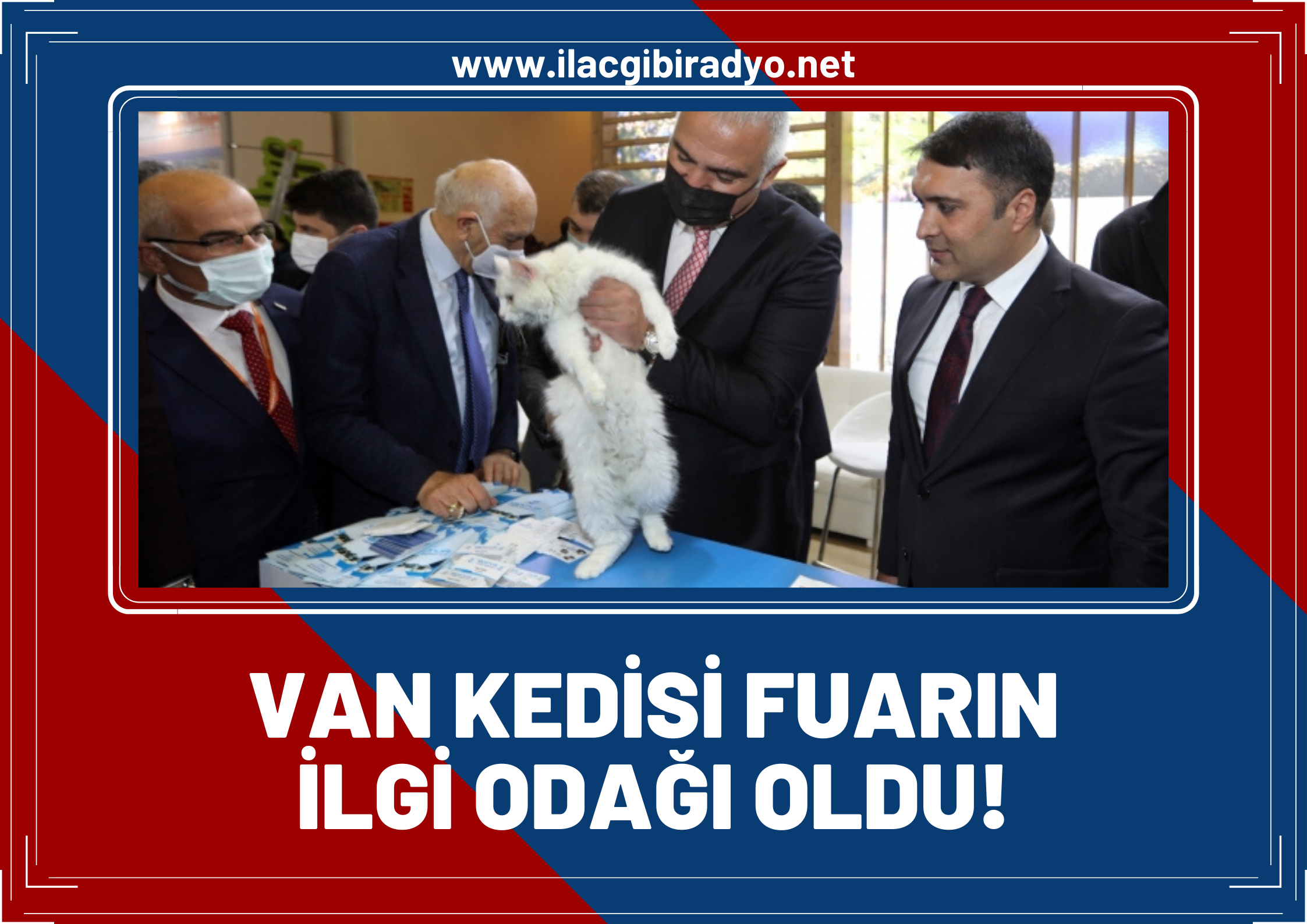 Van Kedisi, fuarın ilgi odağı oldu!