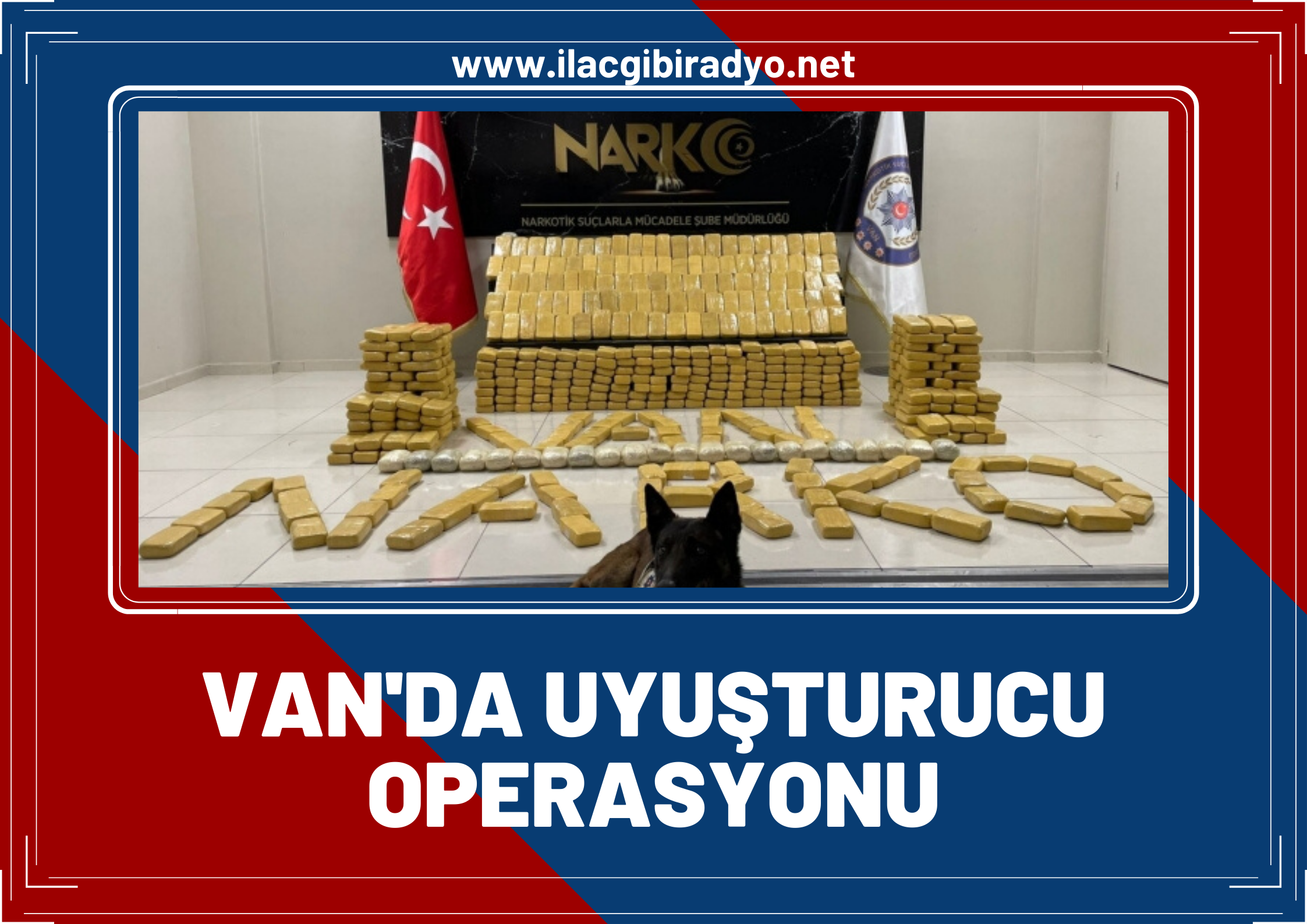 Van’da Magnum ve Bobi uyuşturucuya geçit vermiyor!