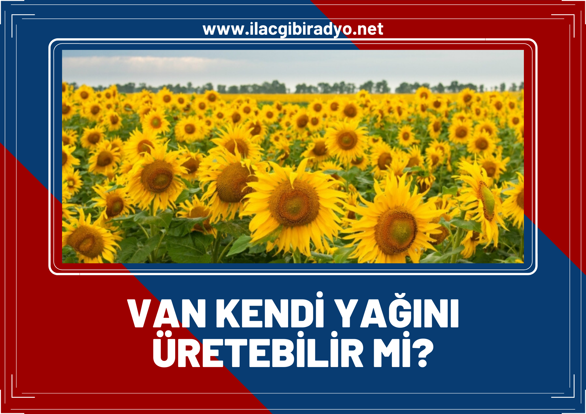 Van, Ayçiçeği yağı üretebilir ama…