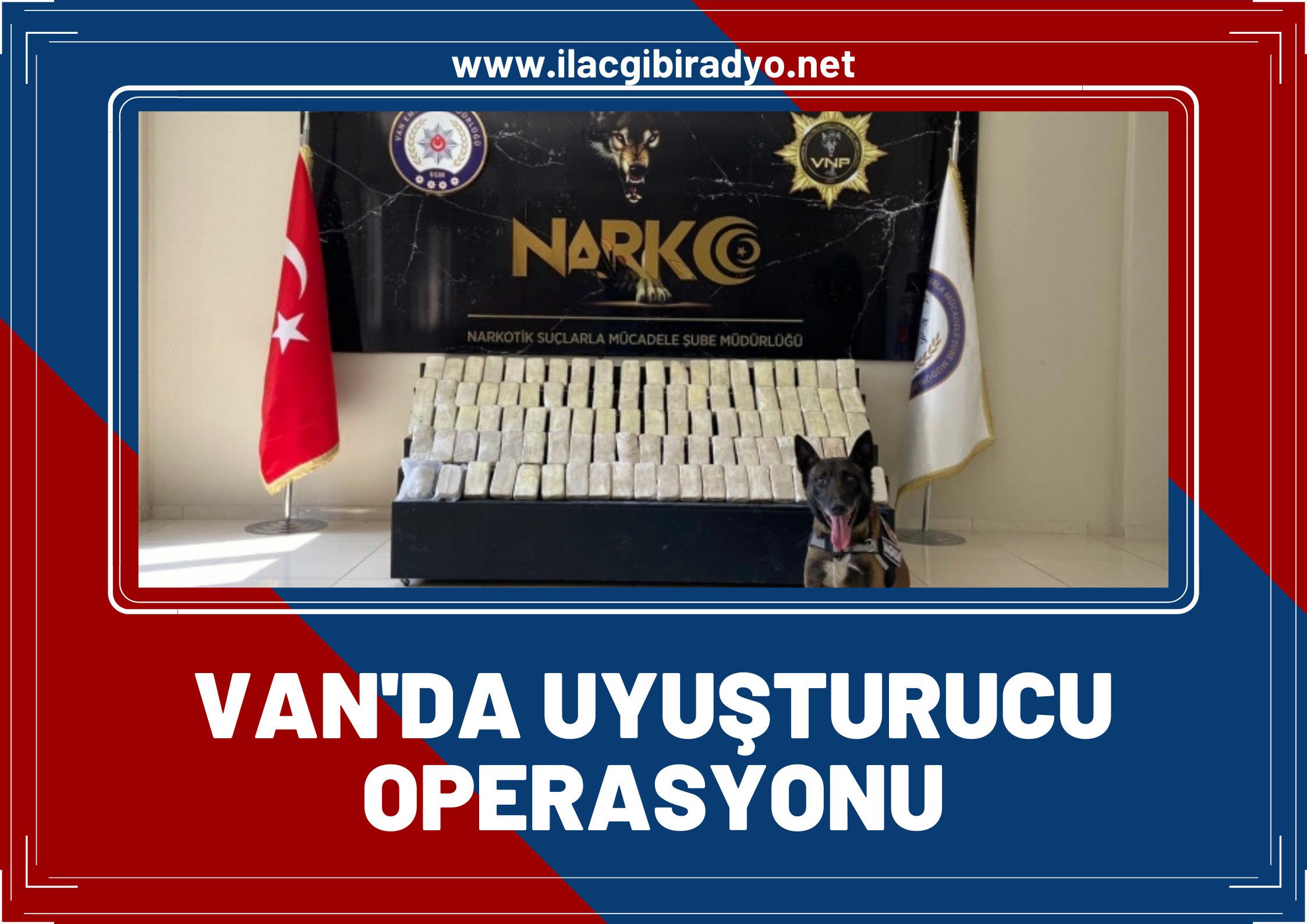 Van'da Narkotik köpekler Irmak ile Magnum, uyuşturucuya geçit vermiyor!