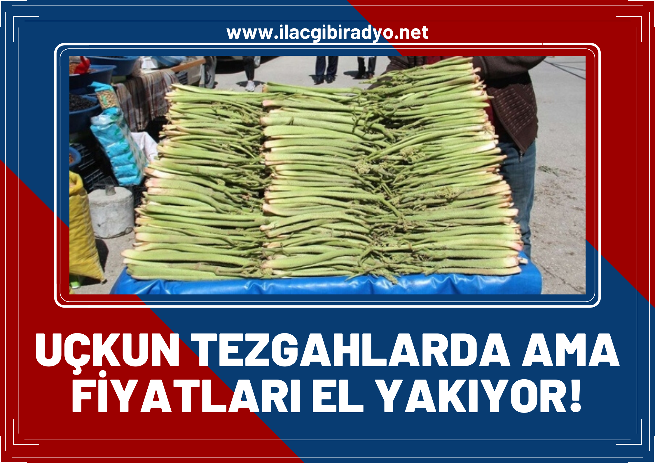 Ekşimsi tadı ile ağız sulandıran ‘Uçkun’ tezgahlarda! Fiyatıyla el yakıyor…