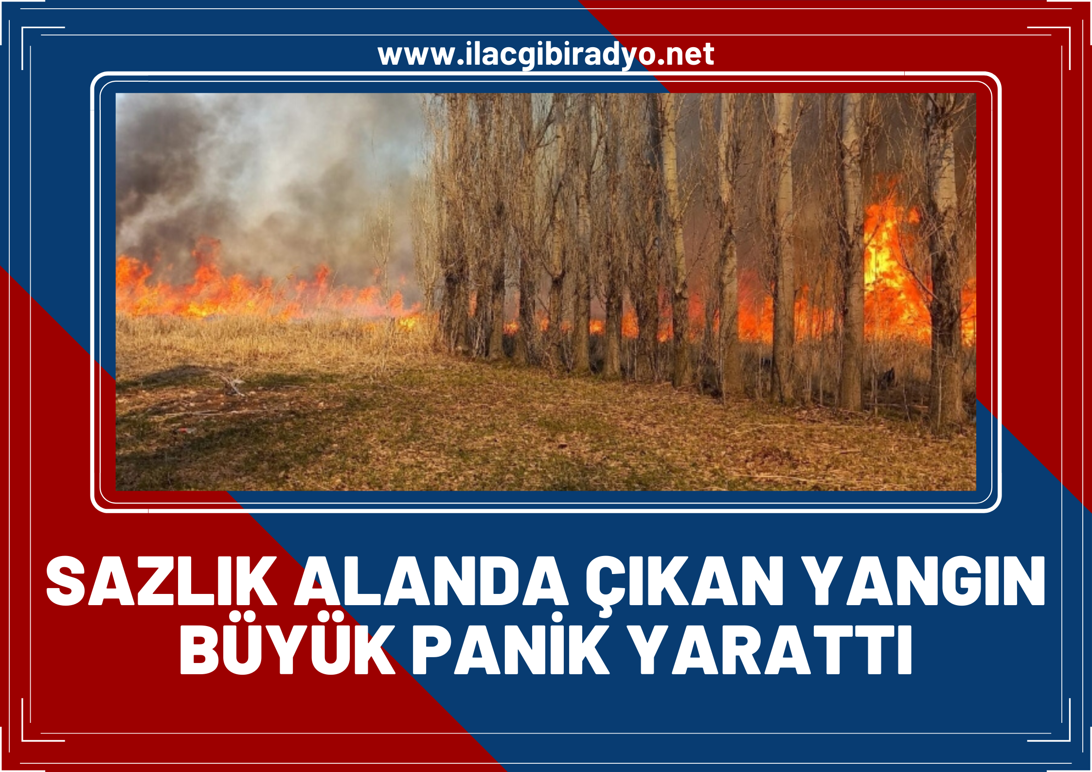 Sazlık alanda çıkan yangın büyük panik yarattı