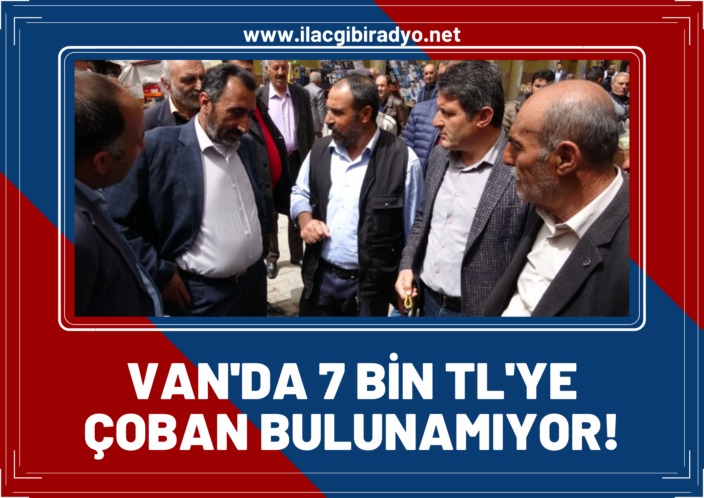 Baharın gelişiyle besiciler Çoban arayışı girdi! Van'da 7 bin liraya çoban bulunamıyor