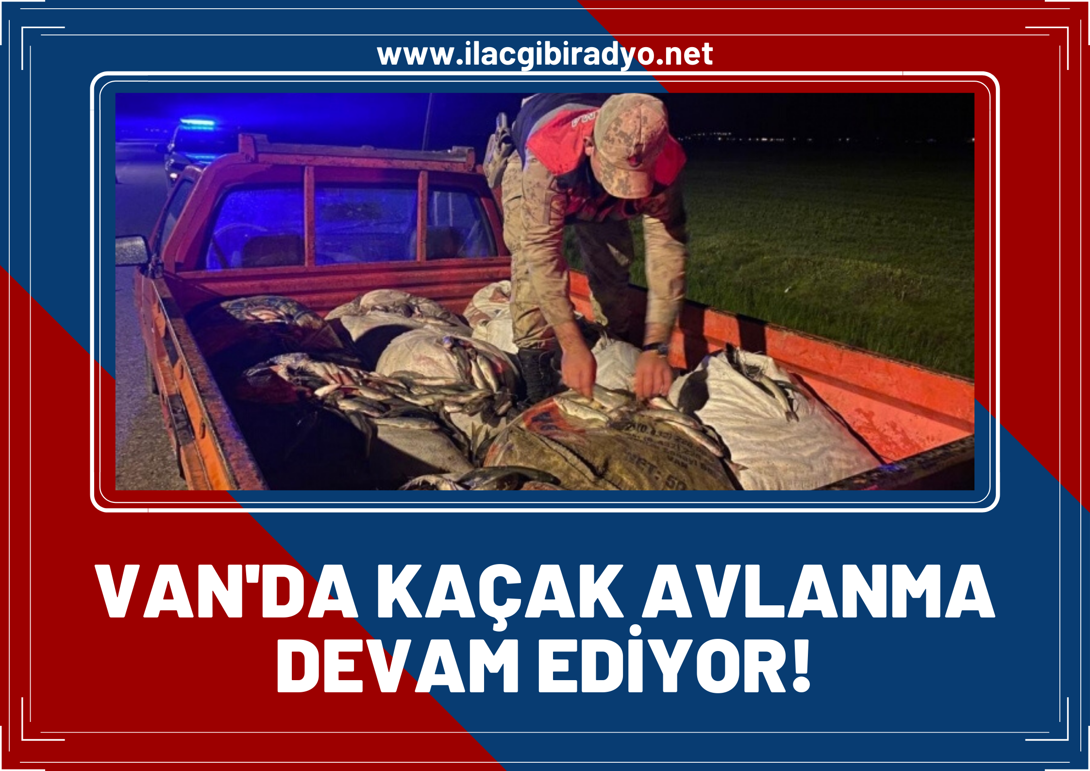 Kaçak avlanan 1 ton Van balığı ele geçirildi