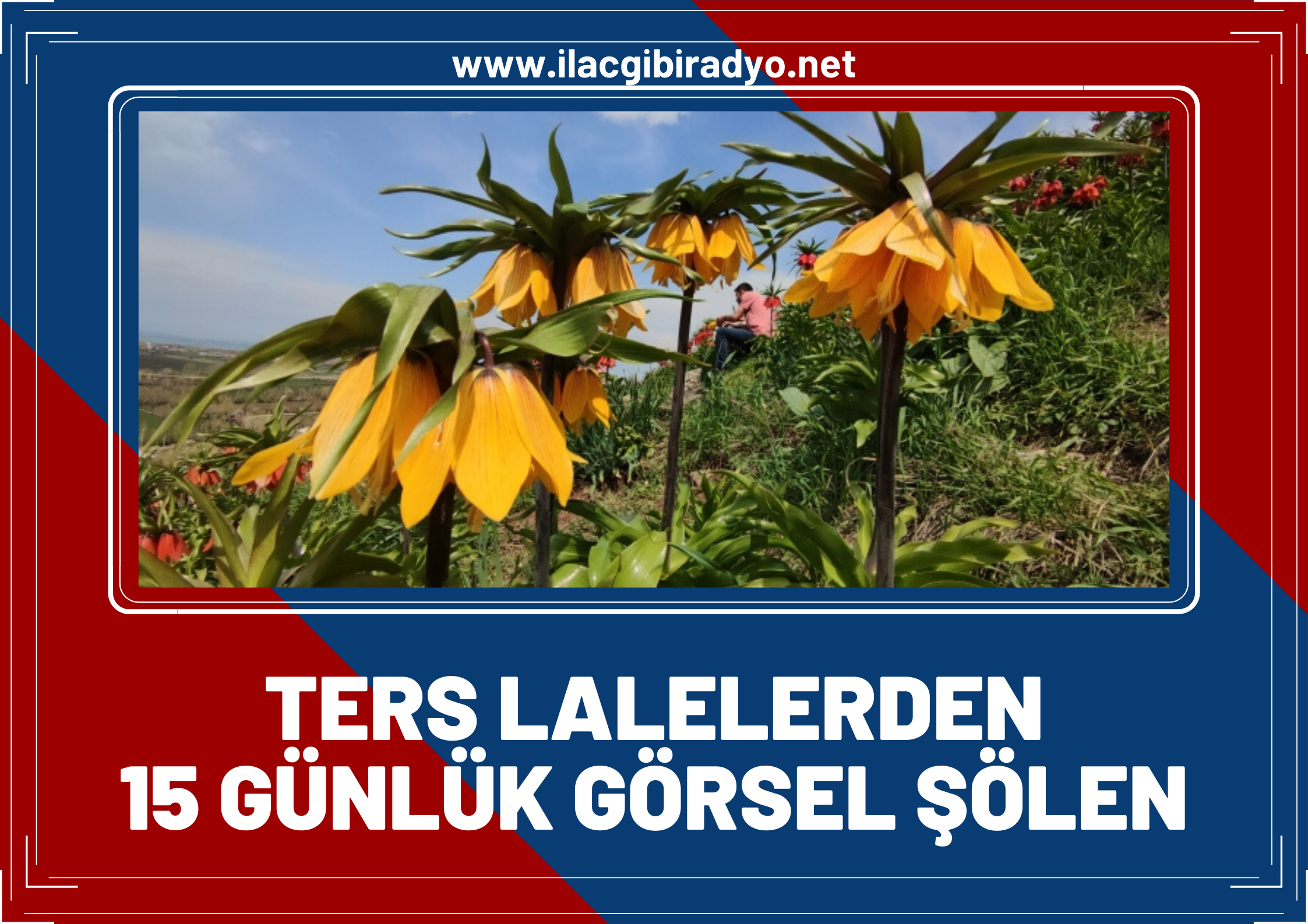 Ters lalelerden 15 günlük görsel şölen