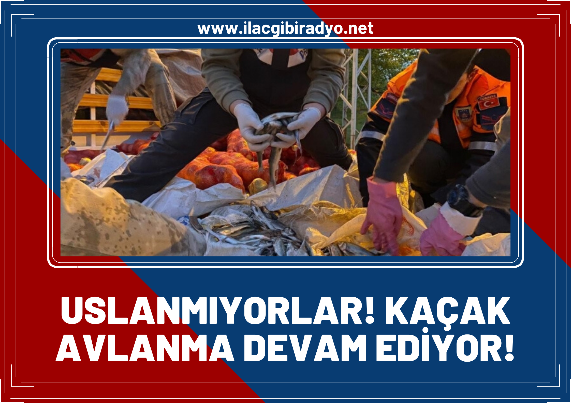 Uslanmıyorlar! Van'da 11 Ton kaçak Van Balığı ele geçirildi!