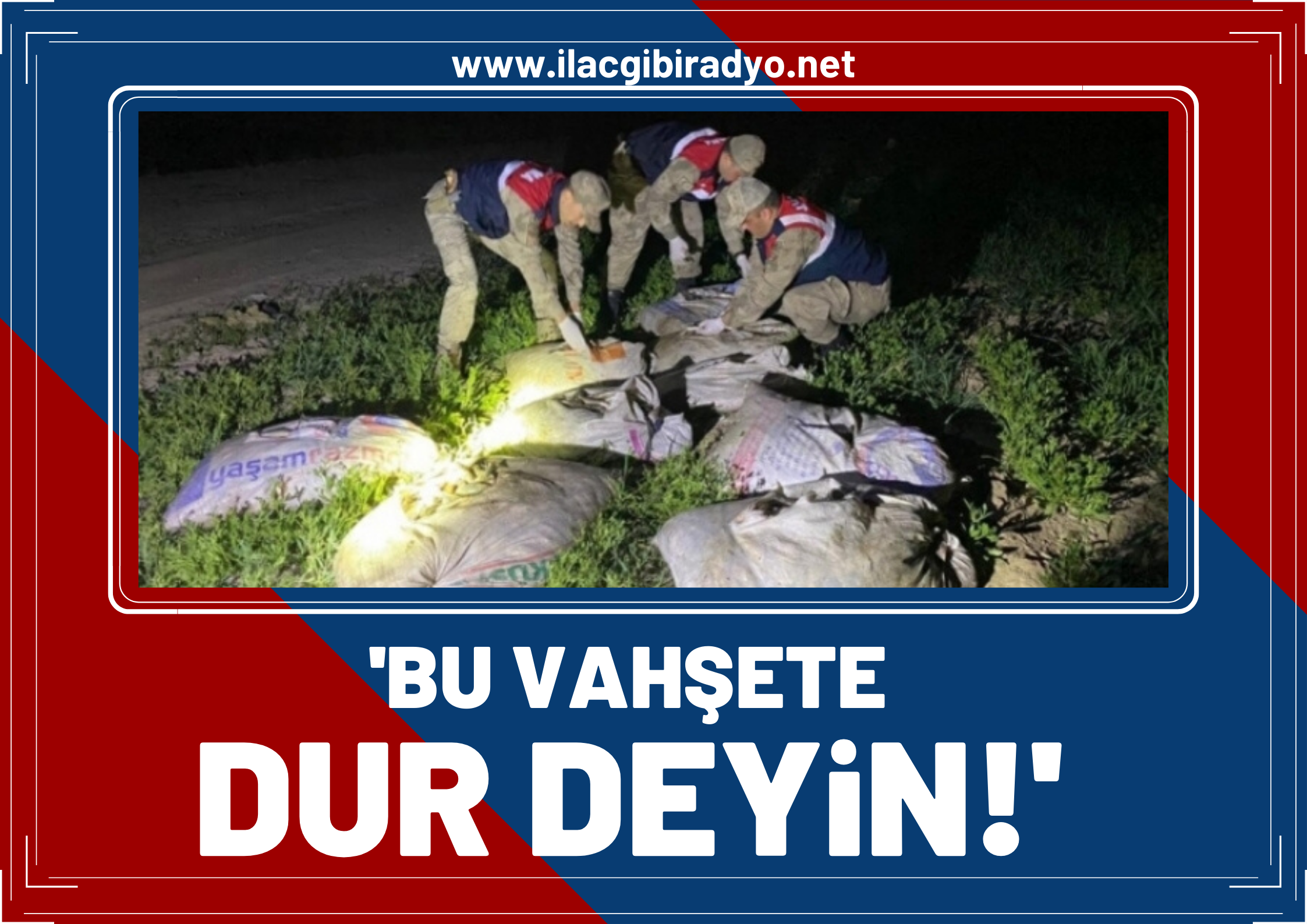 Van Balığının kaçak avlanmasına tepki: Bu vahşete ‘dur’ deyin!