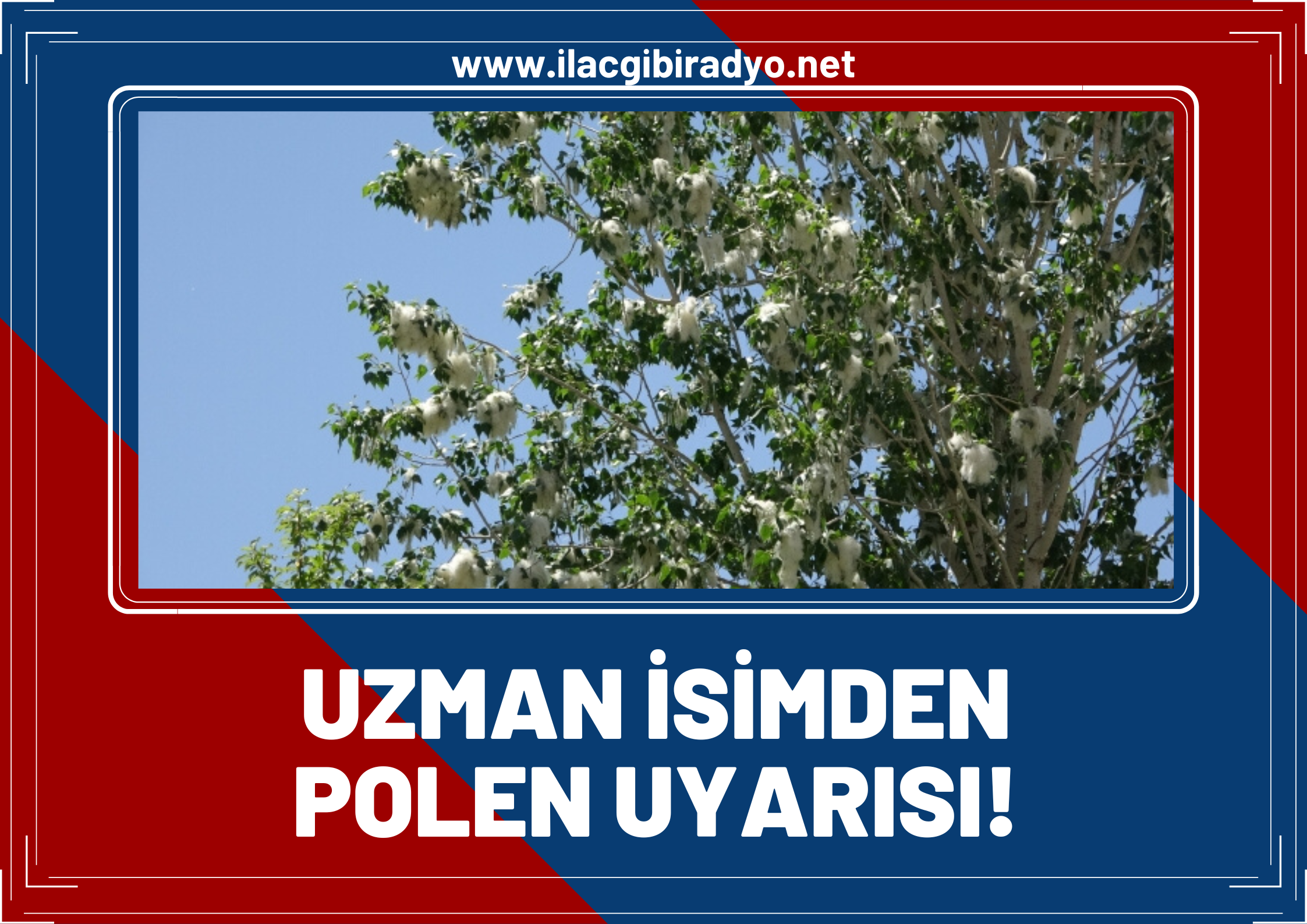 Uzman isimden polen uyarısı! Bu hastalığı olanlar dikkat!