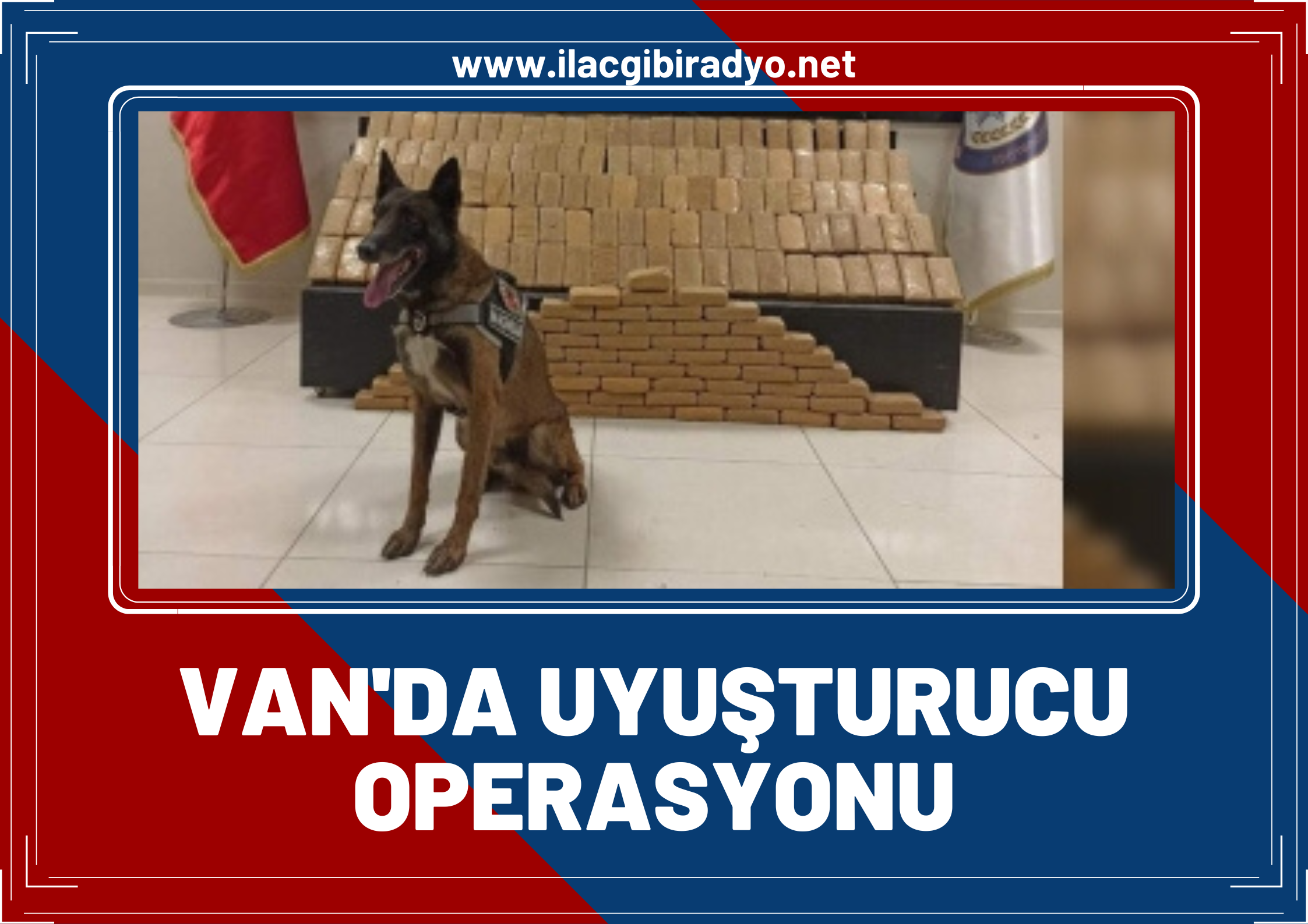 Narkotik Köpek Magnum Van'da uyuşturucuya geçit vermiyor! Kilolarca uyuşturucu ele geçirildi