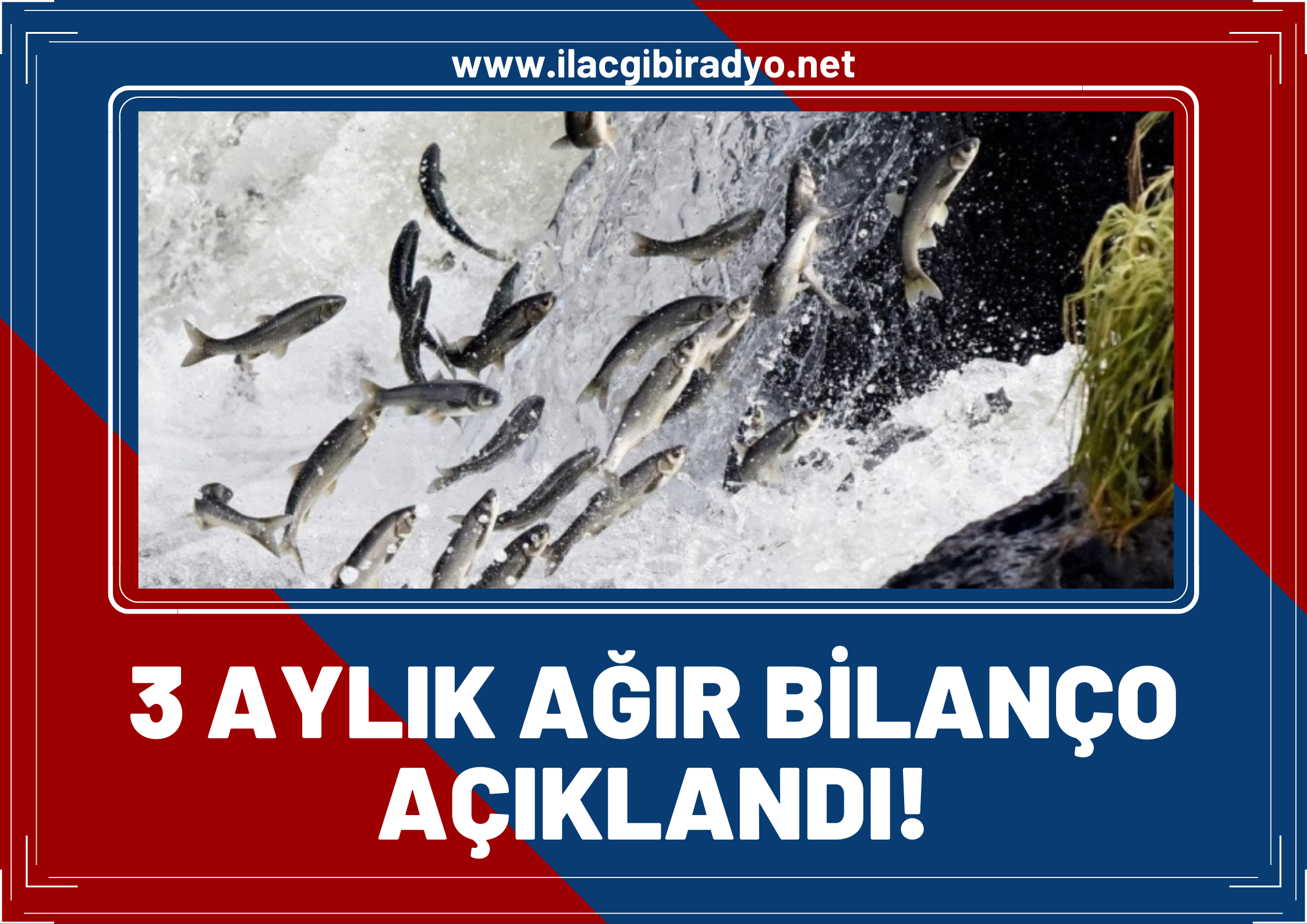 3 aylık ağır bilanço açıklandı: Tonlarca kaçak avlanılan Van Balığı, 750 Bin TL para cezası!