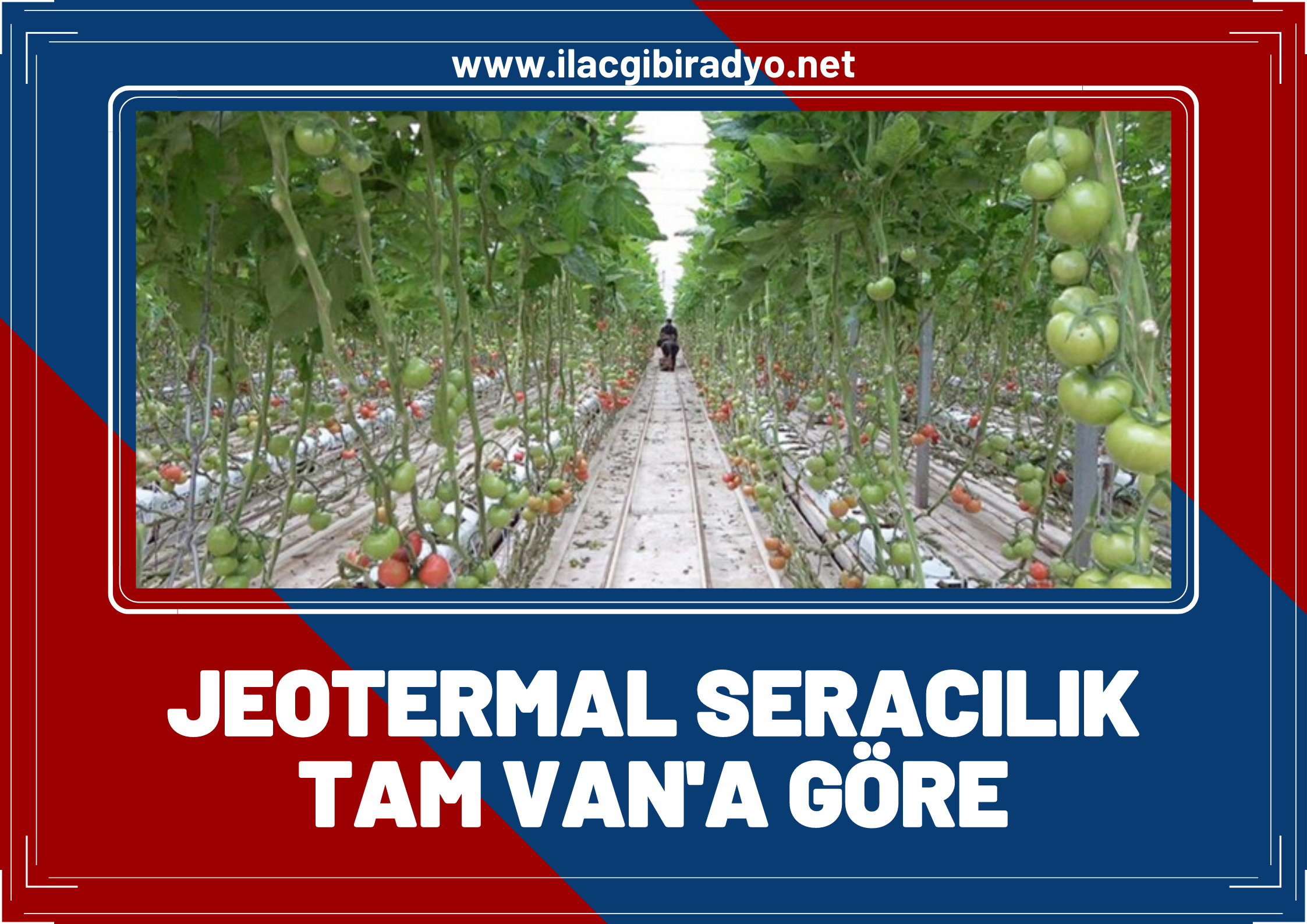 jeotermal seracılık Van’ı bir üretim üssü yapabilir!