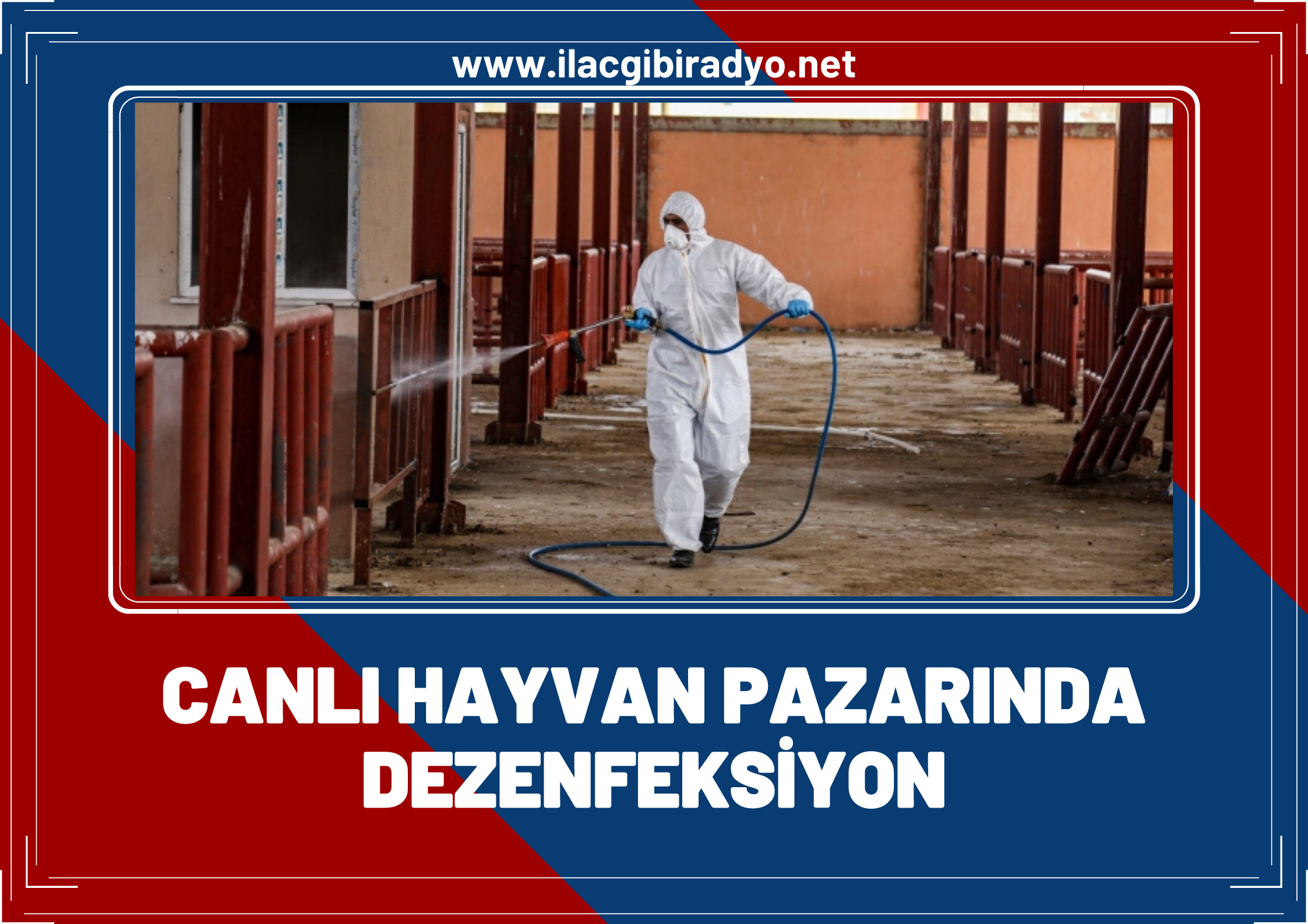 Van'da şap hastalığına karşı canlı hayvan pazarında dezenfeksiyon!