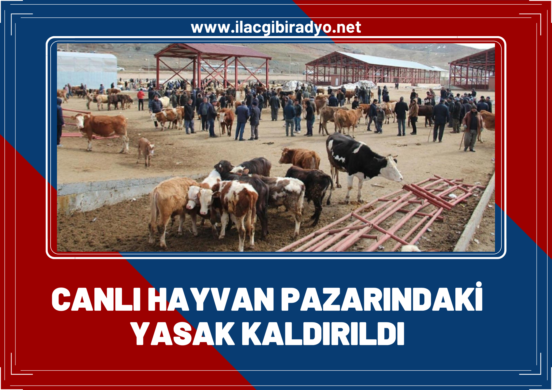 Şap hastalığı ile ilgili yasak kalktı