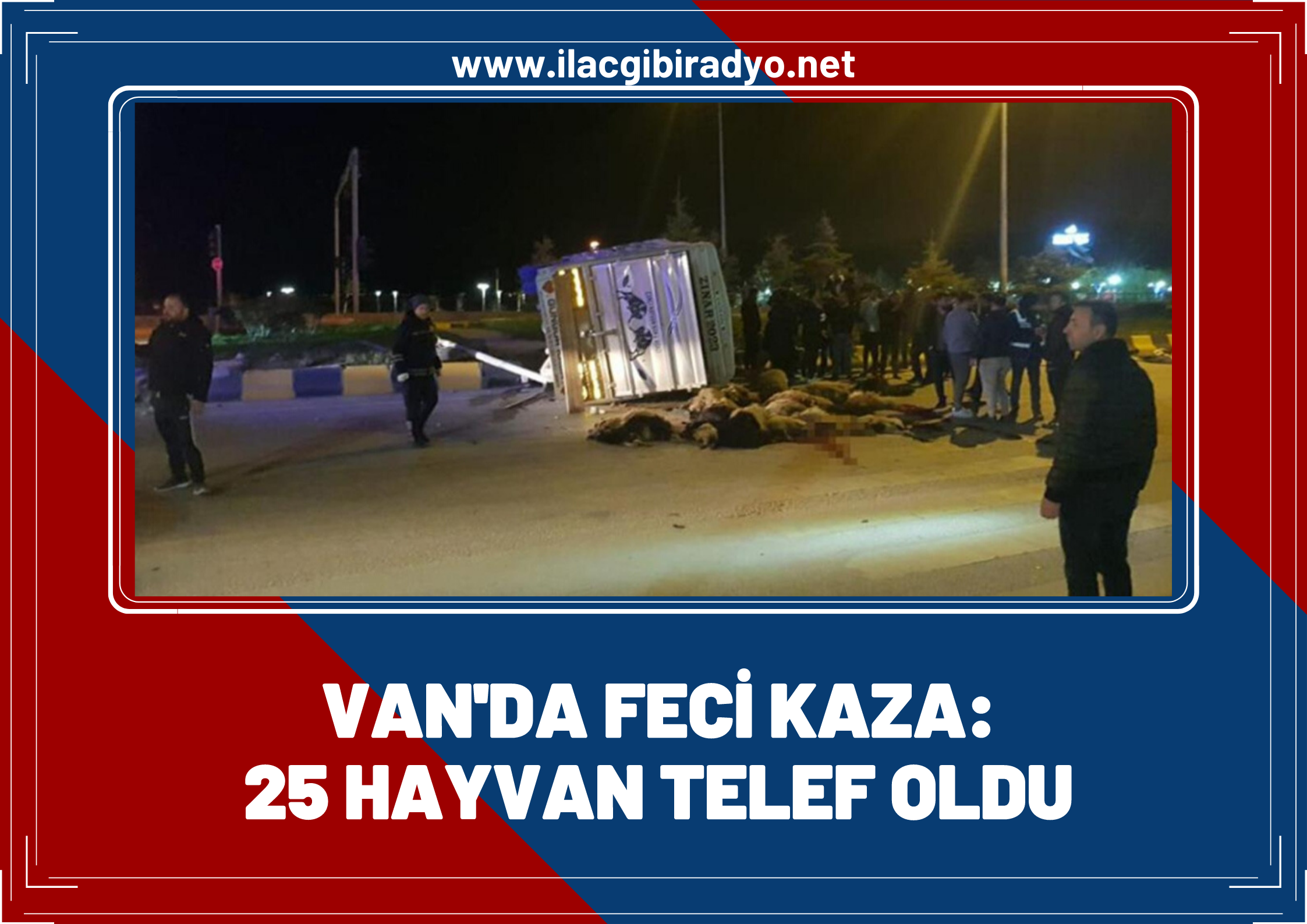 Van'da Cip ile kamyonet çarpıştı: 25 hayvan telef oldu