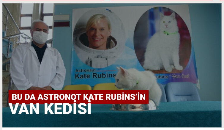 Bu da astronot Kate Rubins’in Van kedisi