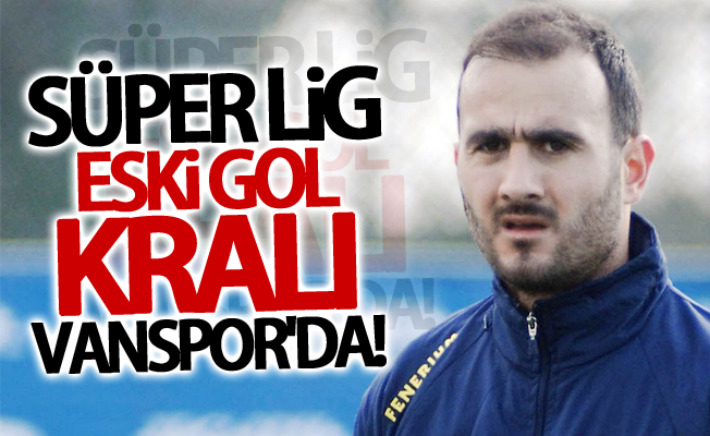 Süper Lig eski gol kralı Vanspor'da!