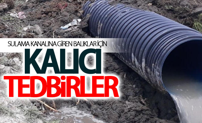 Sulama kanalına giren balıklar için kalıcı tedbirler