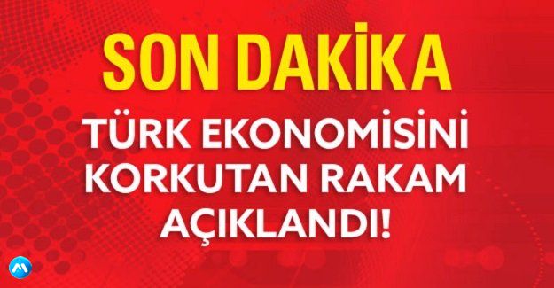 Türkiye Ekonomisini Korkutan Rakam Açıklandı