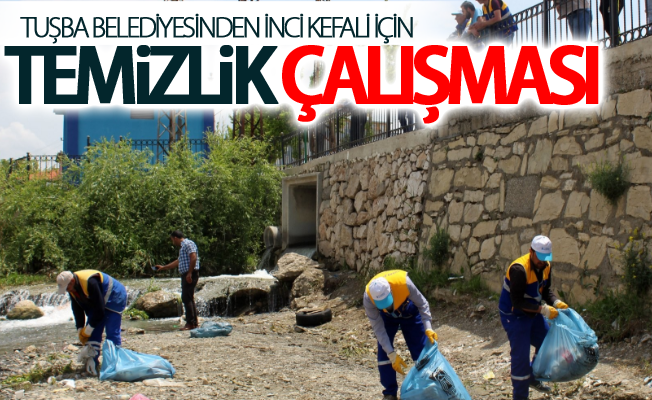 Tuşba Belediyesinden inci kefali için temizlik çalışması