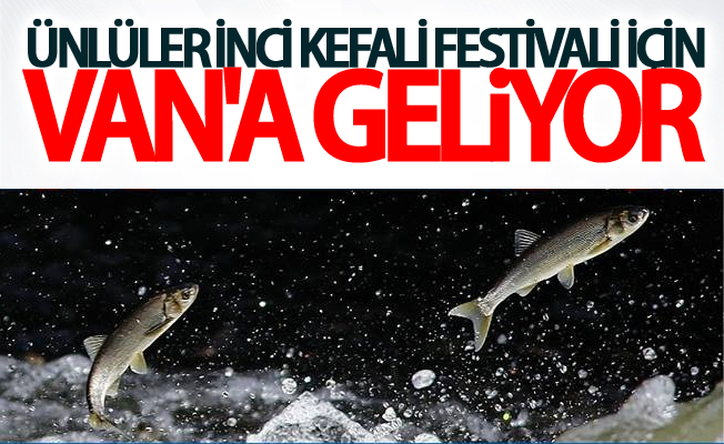 Ünlüler inci kefali festivali için Van'a geliyor