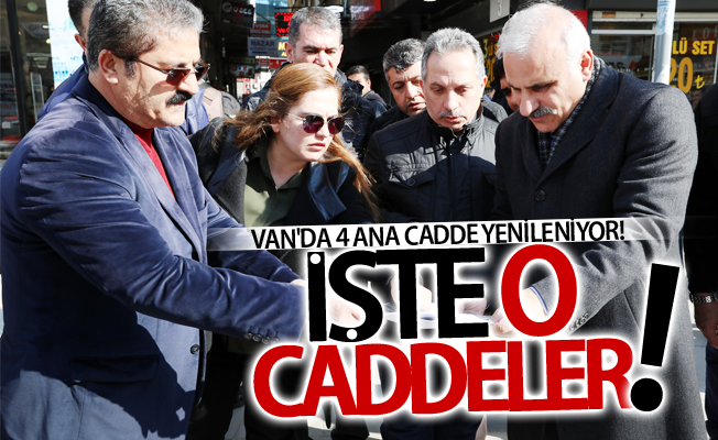 Van'da 4 ana cadde yenileniyor! İşte o caddeler