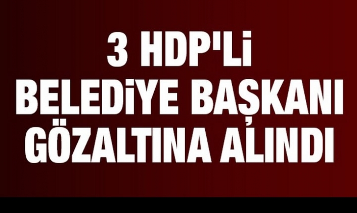 Van'da HDP'li Belediye Başkanları Gözaltına Alındı