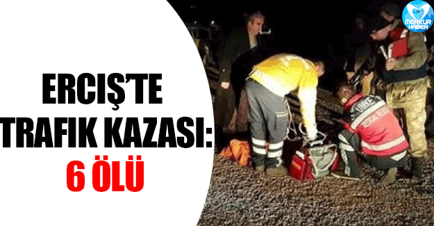 Van'da Trafik Kazası: 4'ü Çocuk 6 kişi öldü