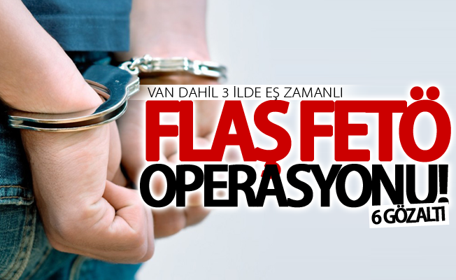Van dahil 3 ilde eş zamanlı FETÖ operasyonu! 6 gözaltı