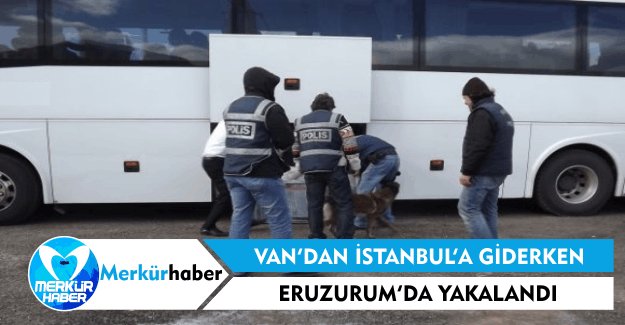 Van'dan İstanbul'a Giderken, Erzurum'da Yakalandı